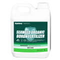 seaweed boron fertilizer